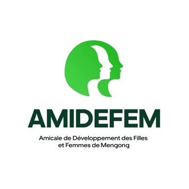 AMIDEFEM